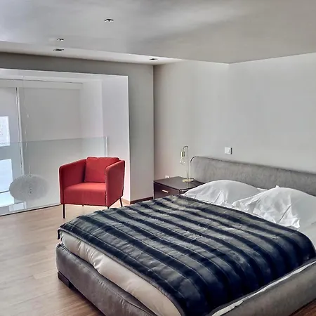 Loft Saint Thomas - Petite France Apartment Strasbourg