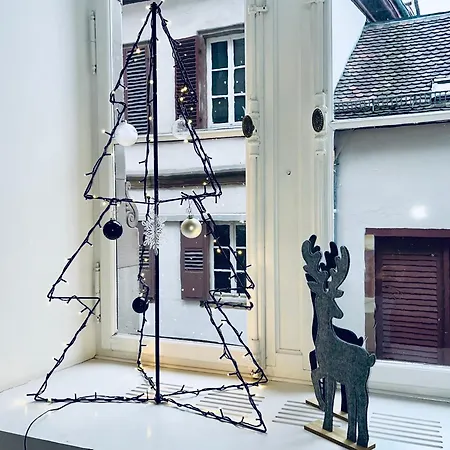 Loft Saint Thomas - Petite France Apartment